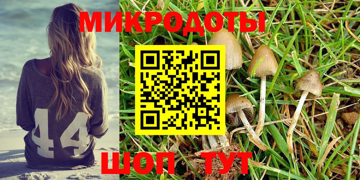 Псилоцибиновые грибы MAGIC MUSHROOMS  Галлюциногенные грибы мицелий  Вход с VPN  Чистополь 